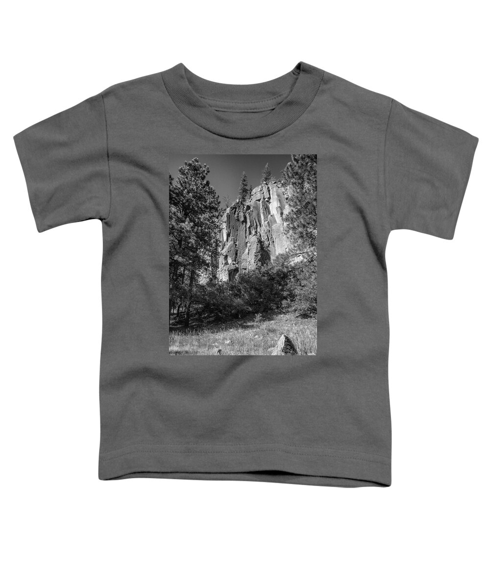Cliffs Toddler T-Shirt featuring the photograph Big Cliff Little Rock by Mary Lee Dereske