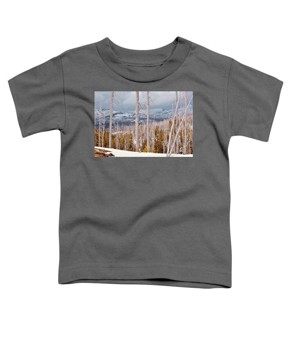 Trees Toddler T-Shirt featuring the photograph Big Sky Country by Carolyn Mickulas