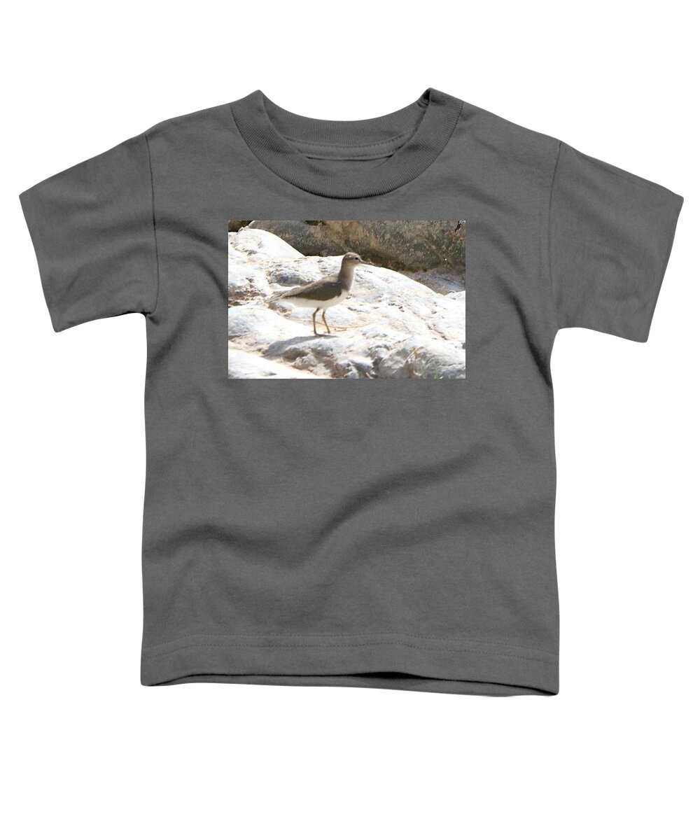  Toddler T-Shirt featuring the photograph Birds 69 by Eric Pengelly