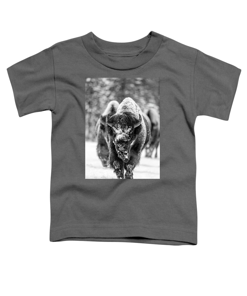 Bison Toddler T-Shirt featuring the photograph Bison in snow by D Robert Franz