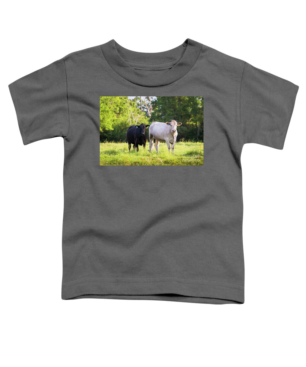  Toddler T-Shirt featuring the photograph Black and White by Vincent Bonafede