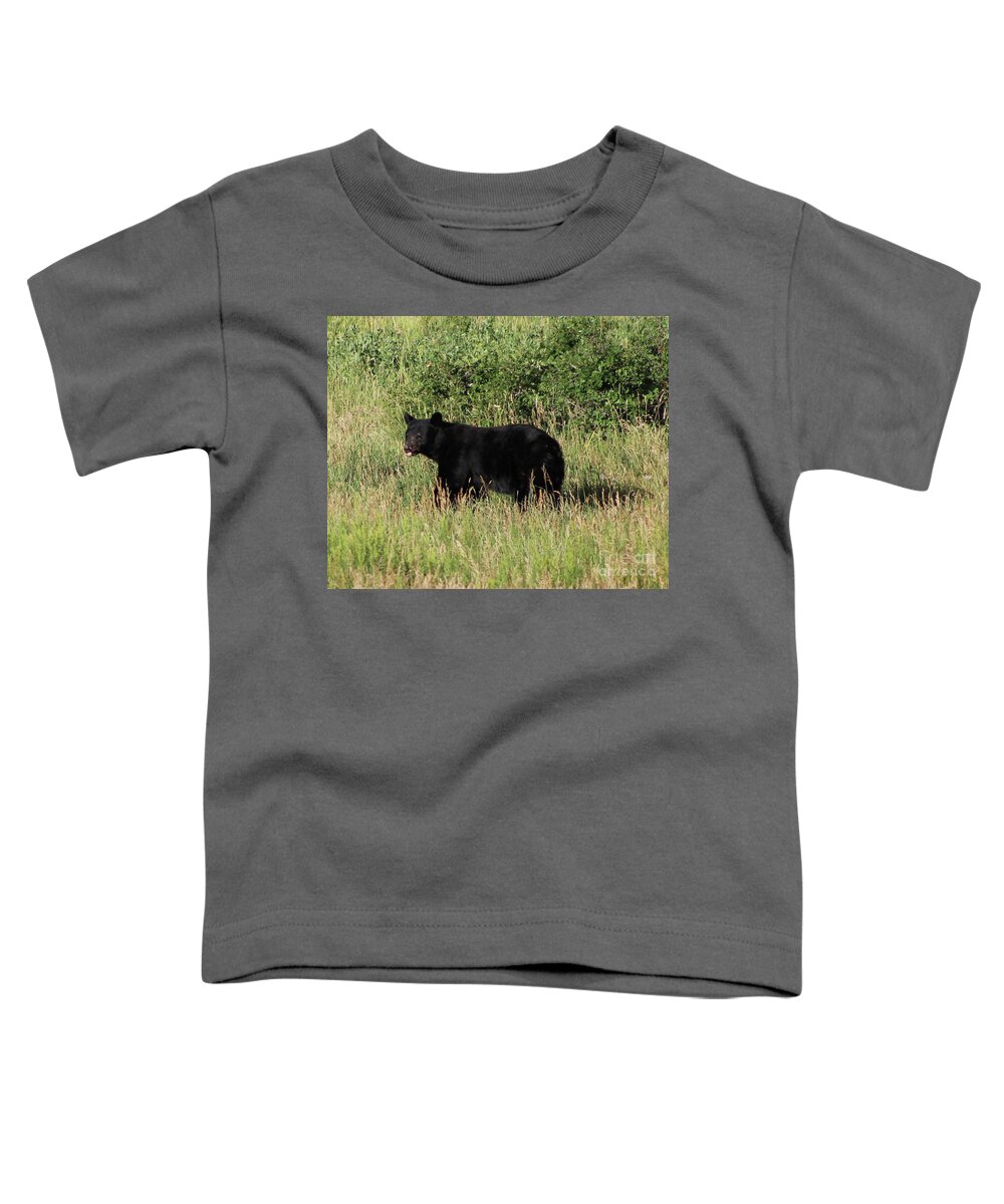 Black Bear Toddler T-Shirt featuring the photograph Black Bear in Field by Shirley Dutchkowski