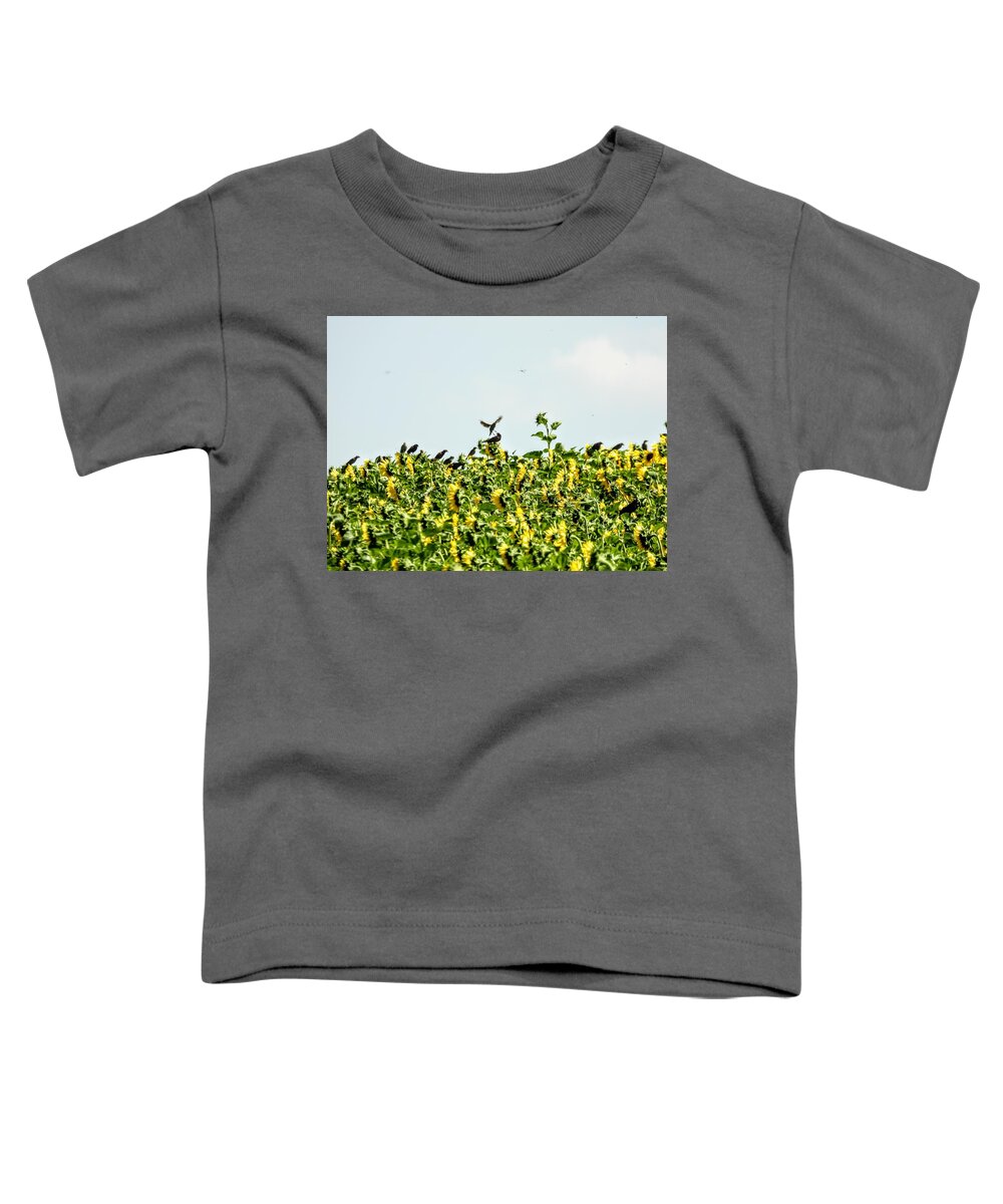 Sunflowers Toddler T-Shirt featuring the photograph Black Birds in the Sunflowers by Amanda R Wright