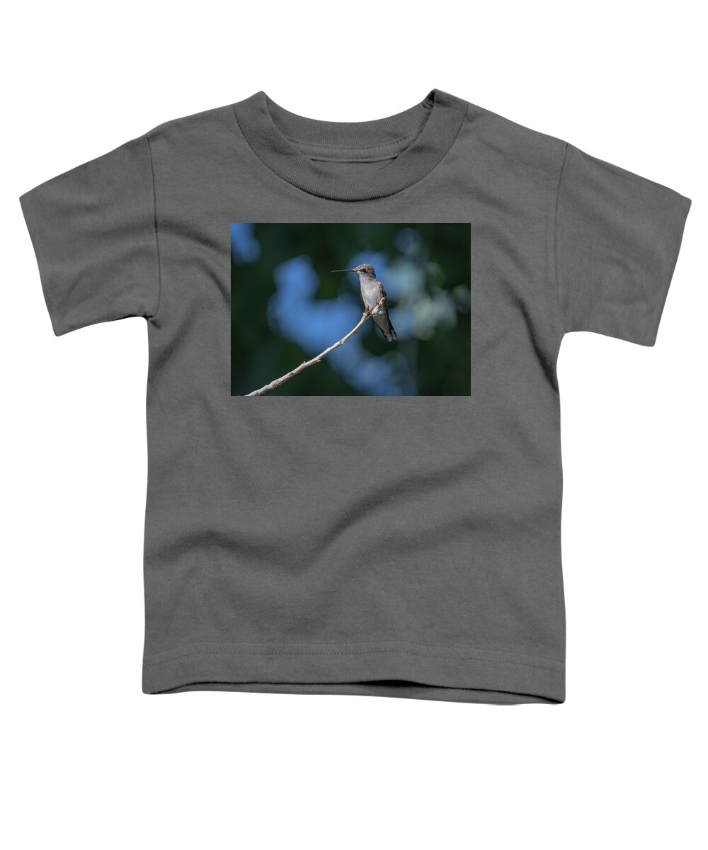 Black Chinned Hummingbird Toddler T-Shirt featuring the photograph Black Chinned Hummingbird 3 by Rick Mosher