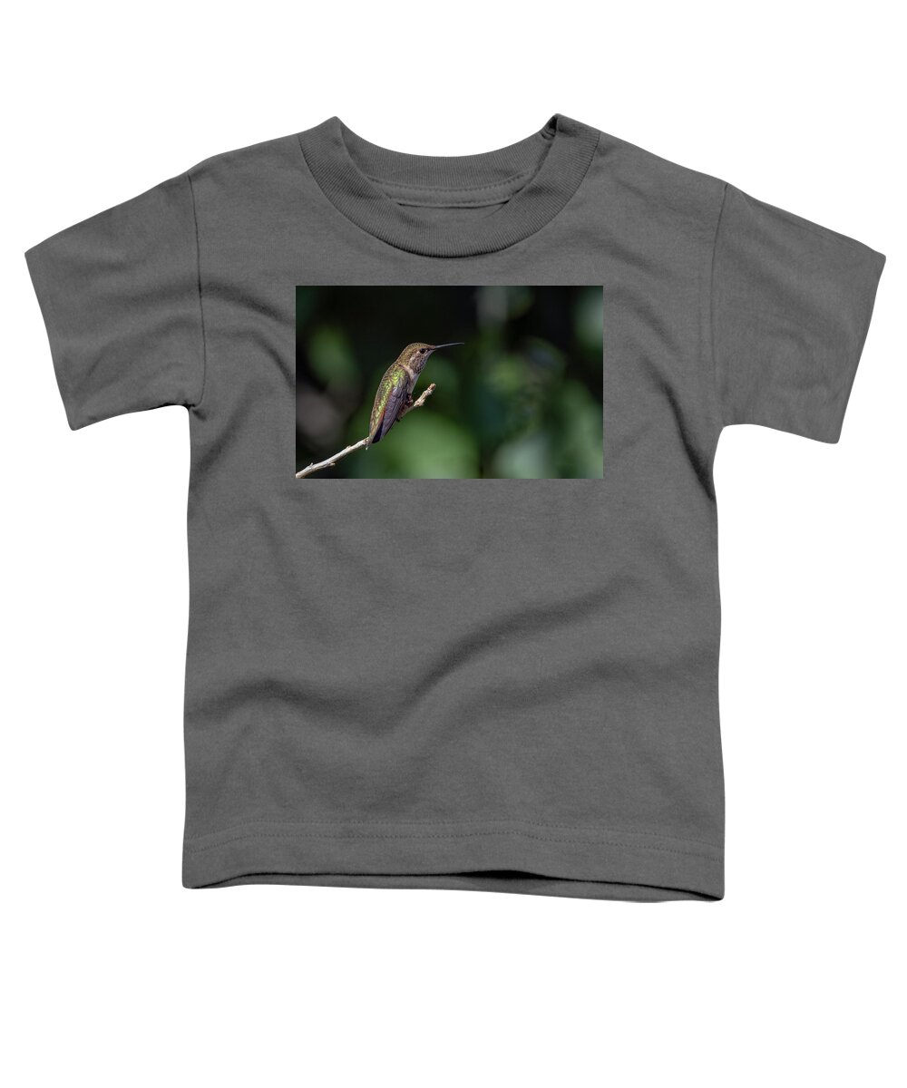 Black Chinned Hummingbird Toddler T-Shirt featuring the photograph Black Chinned Hummingbird 6 by Rick Mosher