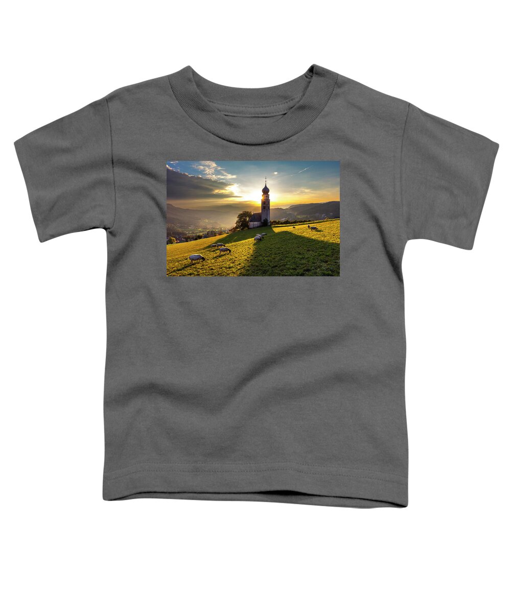 Nature Toddler T-Shirt featuring the photograph Black Heads by Evgeni Dinev