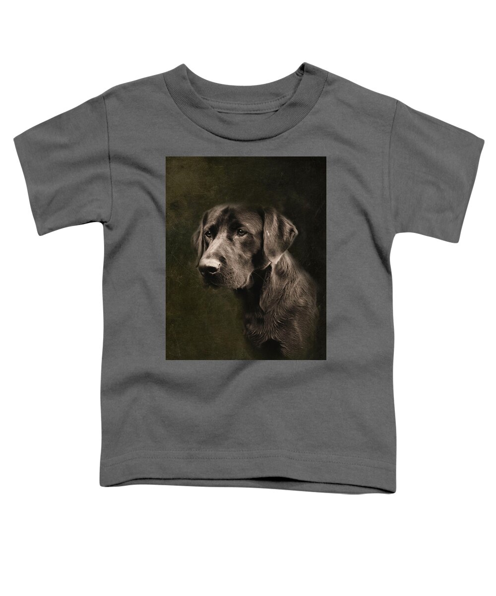 Black Lab Toddler T-Shirt featuring the photograph Black Labrador by Sally Bauer