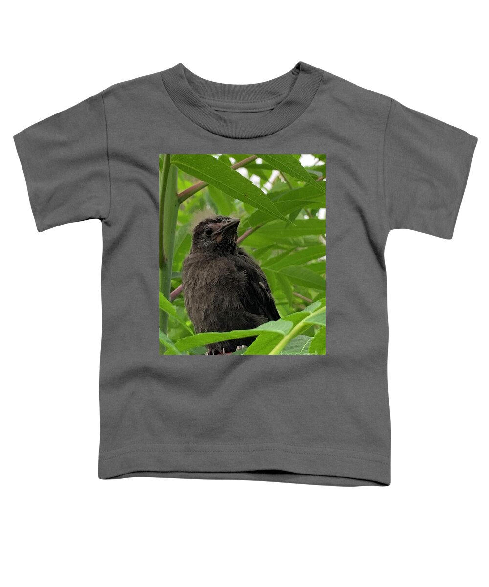 Blackbird Toddler T-Shirt featuring the photograph Blackbird by Catherine Wilson