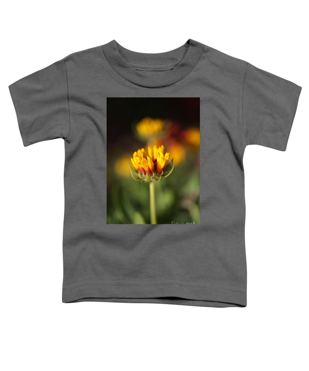 Tickseed Toddler T-Shirt featuring the photograph Blanket flower Bud Bright by Joy Watson