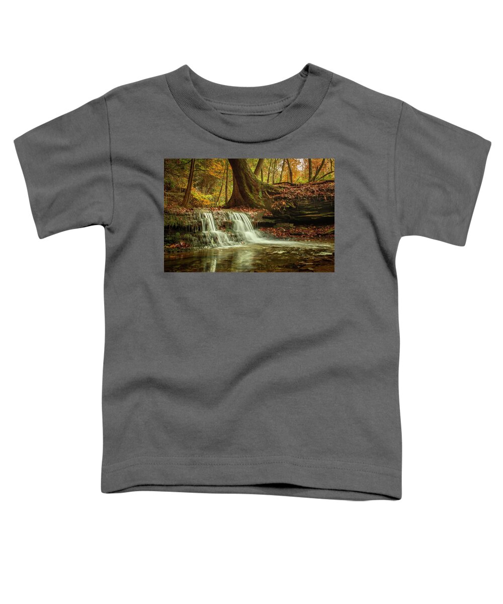 Autumn Toddler T-Shirt featuring the photograph Bliss by Skip Tribby