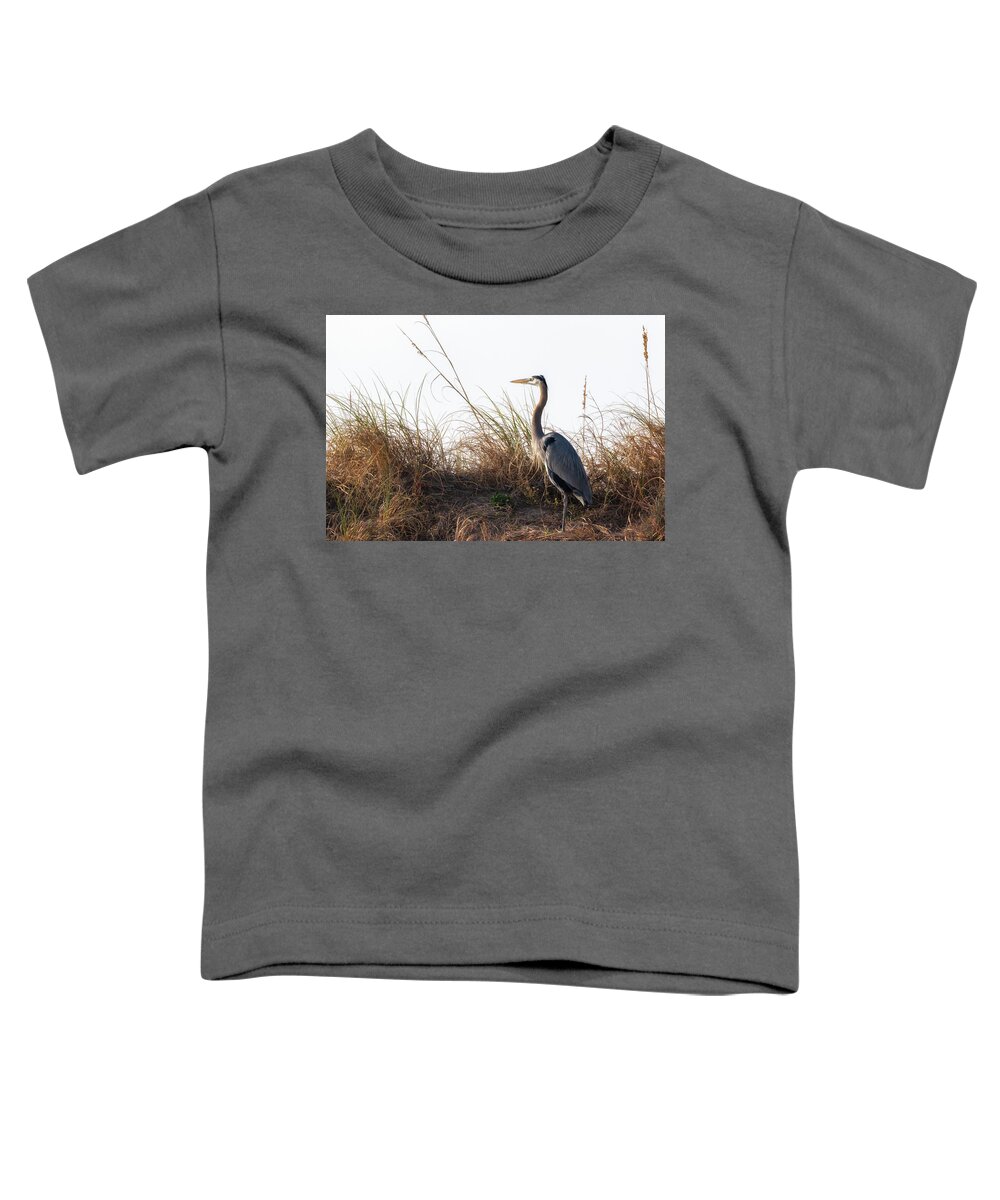 Blue Heron Toddler T-Shirt featuring the photograph Blue Heron on the Dunes by Susan Rissi Tregoning