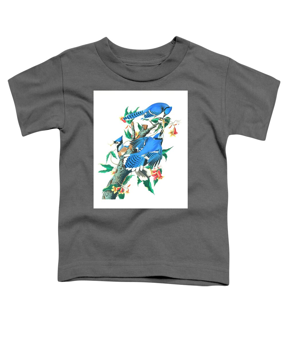 Blue Jay Toddler T-Shirt featuring the drawing Blue Jay by John James Audubon by Mango Art