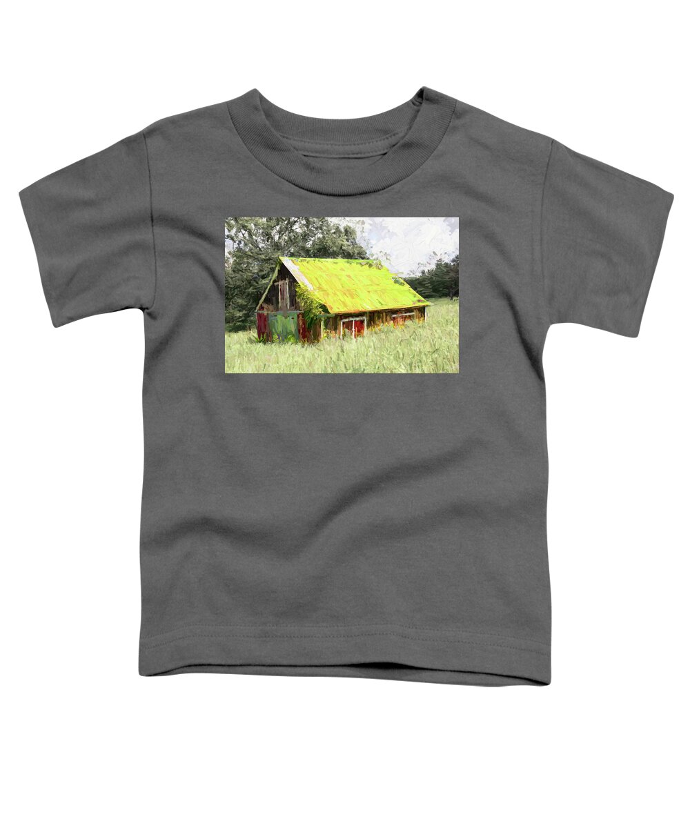 Mountains Toddler T-Shirt featuring the painting Blue Ridge Mountains Landscape Rural Barn ap 927 by Dan Carmichael
