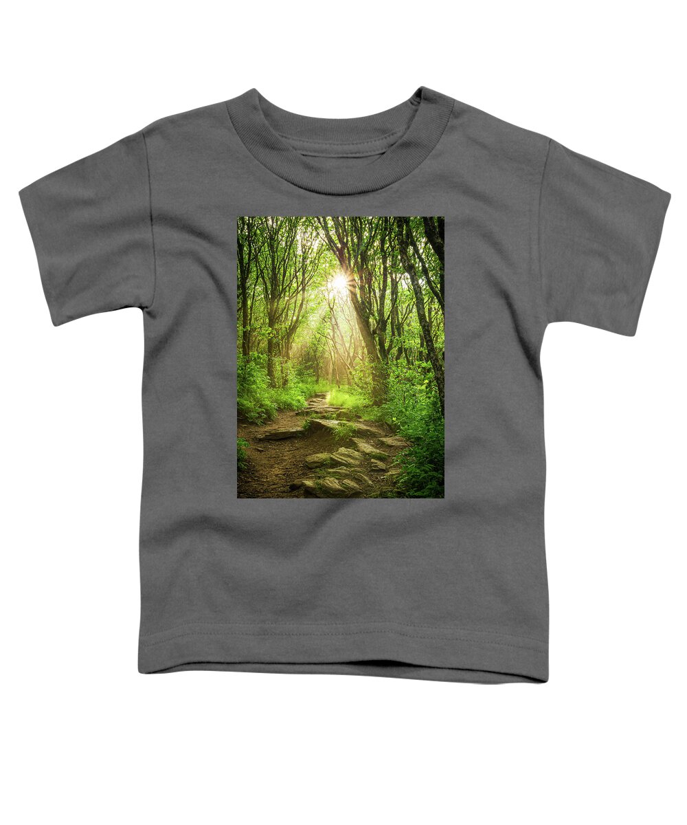 Outdoors Toddler T-Shirt featuring the photograph Blue Ridge Parkway Asheville NC Ethereal by Robert Stephens
