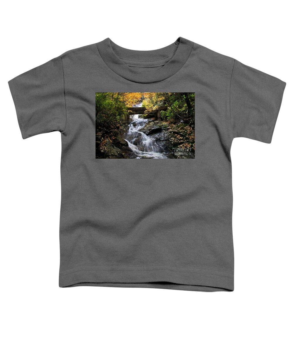 Wildcat Falls Toddler T-Shirt featuring the mixed media Blue Ridge Wildcat Falls Bridge  by Sandi OReilly