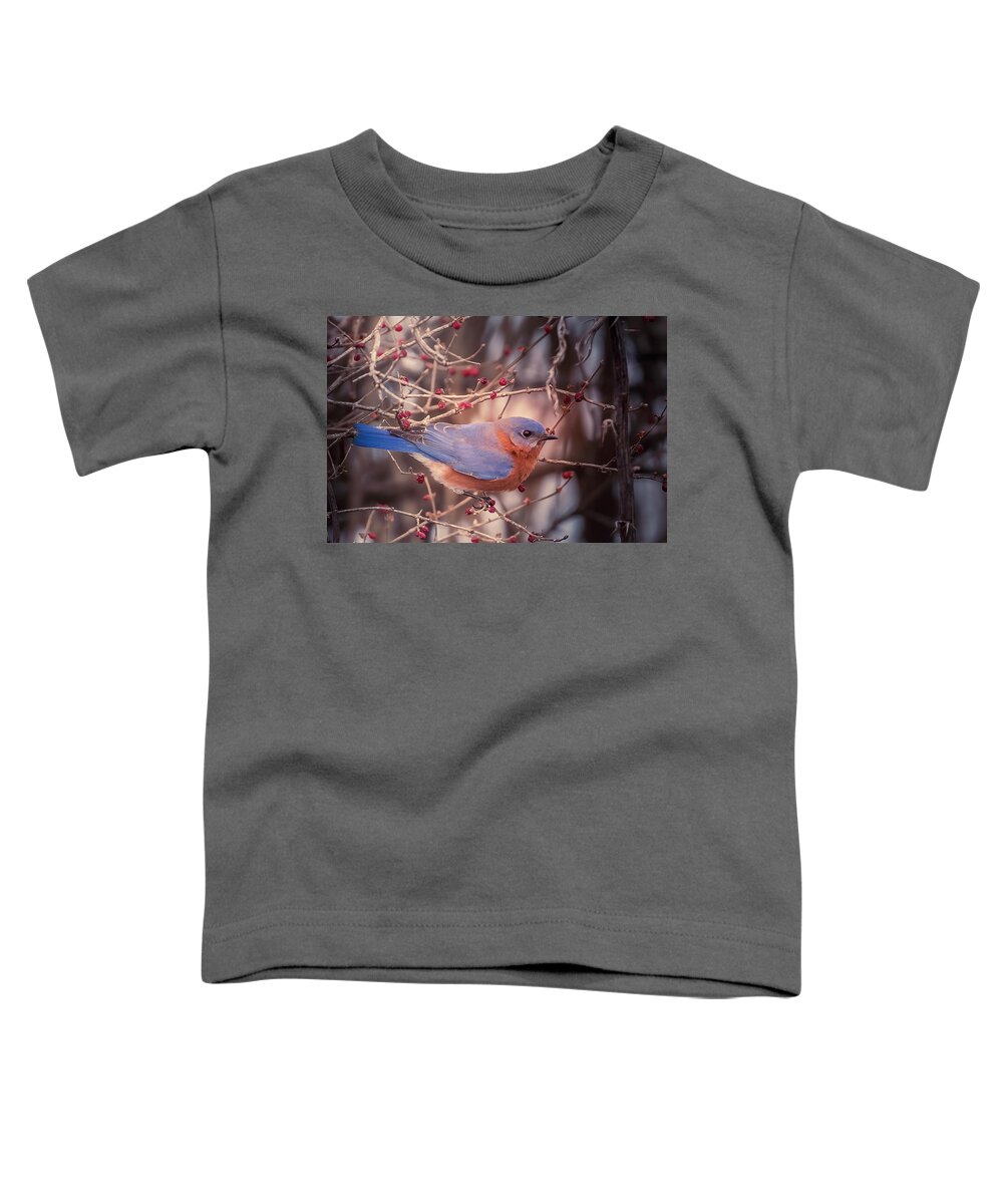 Bluebird Toddler T-Shirt featuring the photograph Bluebird in Winter 2 Wilsons Creek Springfield by Allin Sorenson