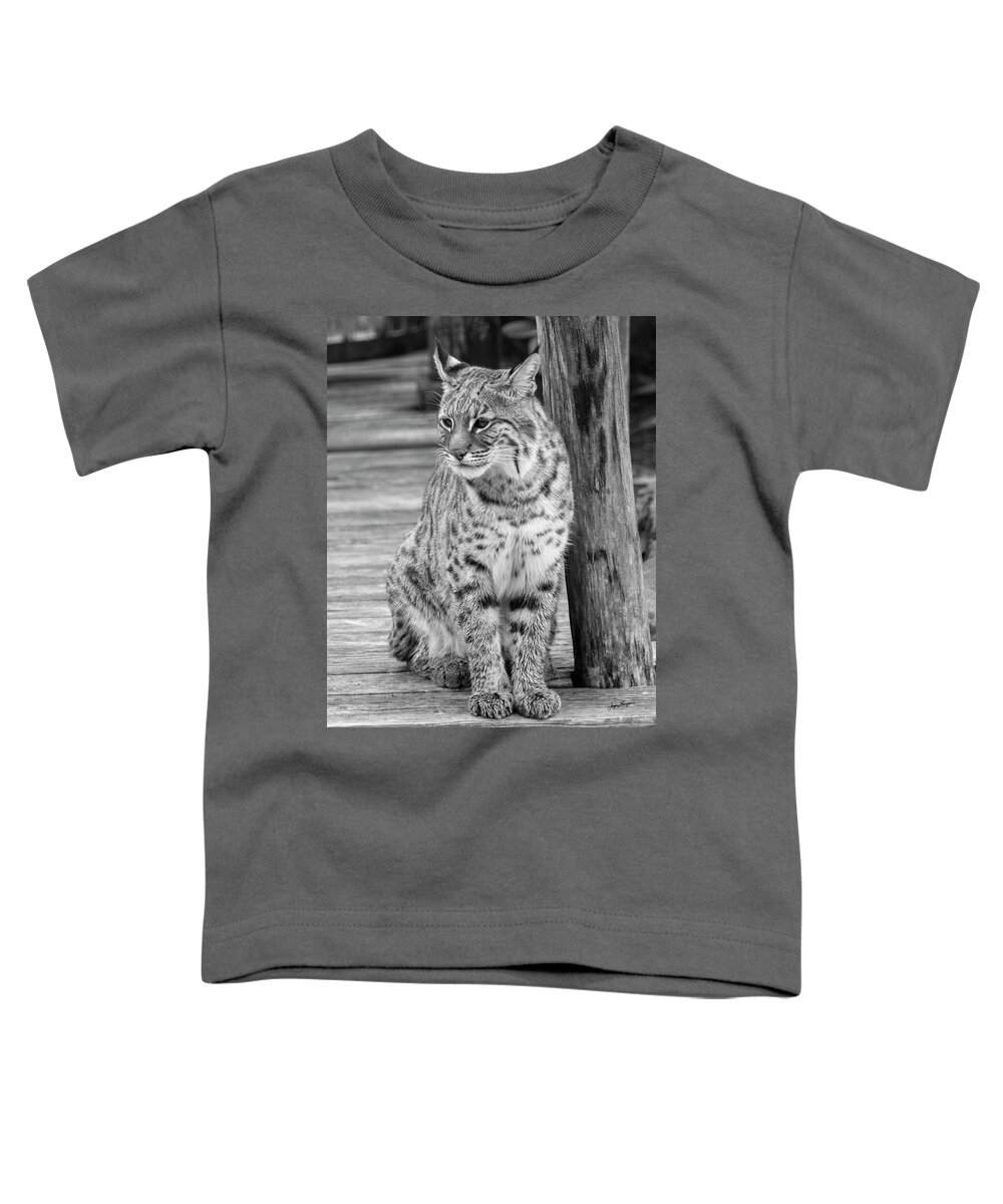 Bobcat Toddler T-Shirt featuring the photograph Bobcat In Monochrome by Jurgen Lorenzen