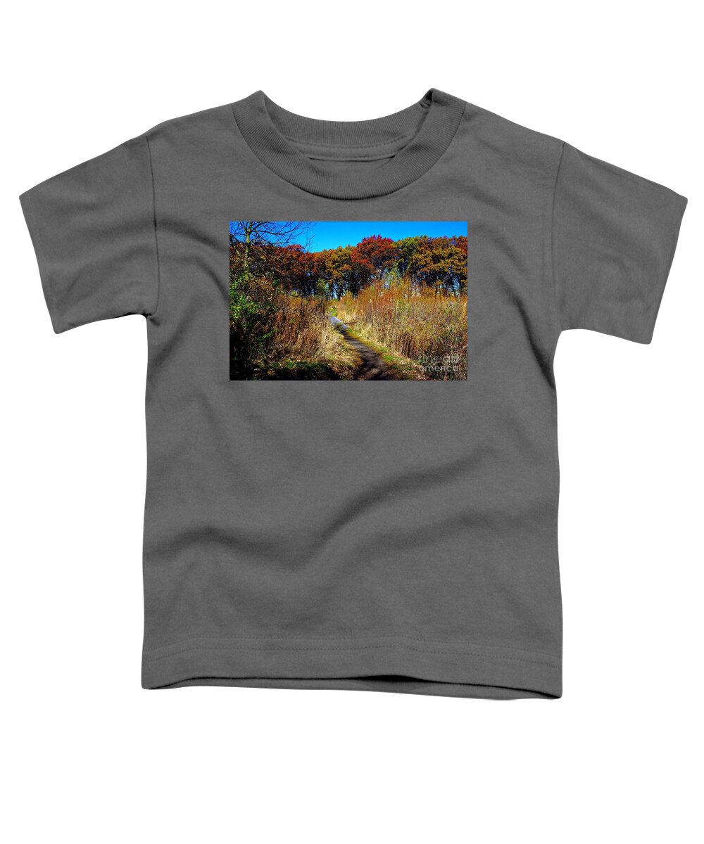 Landscape Photography Toddler T-Shirt featuring the photograph Bold Colors Down the Trail by Frank J Casella