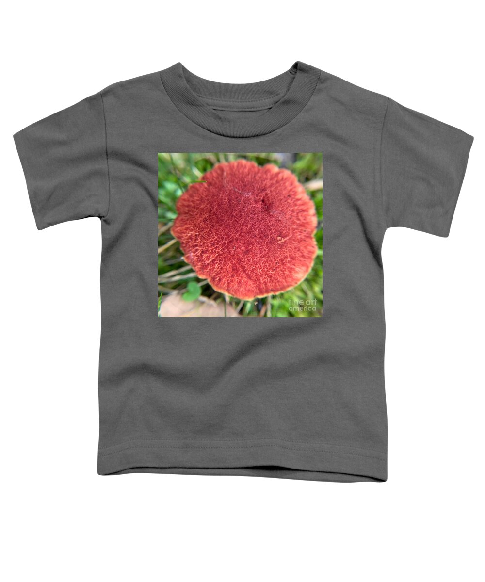 Plant Toddler T-Shirt featuring the photograph Boletus Paluster by Catherine Wilson