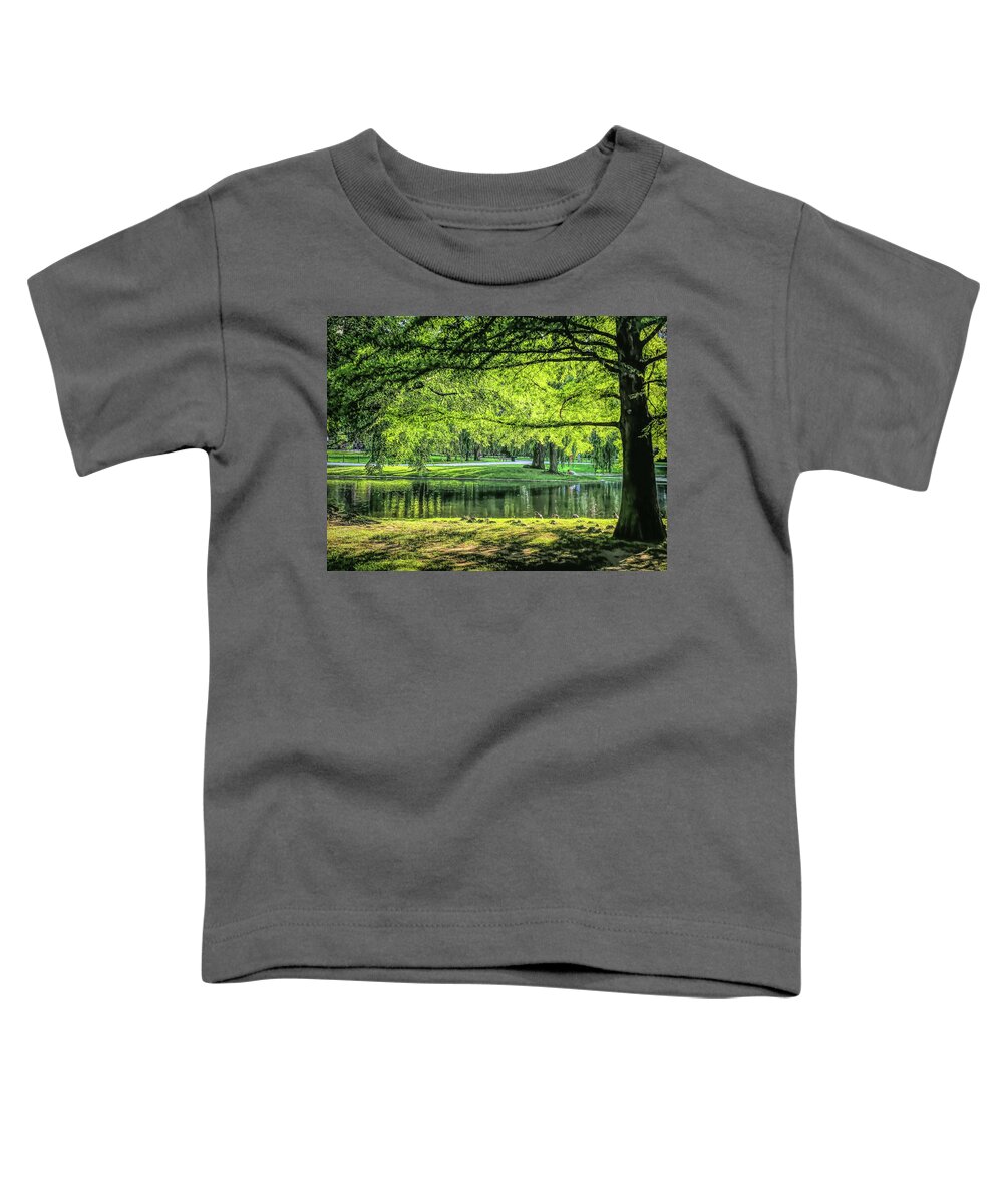  Toddler T-Shirt featuring the digital art Boston Common by Cindy Greenstein