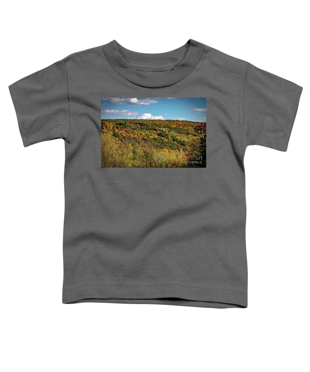 Nature Toddler T-Shirt featuring the photograph Botsford Nature Preserve 44 by William Norton