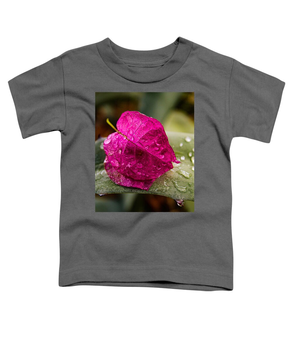 Bougainvillea Spectabilis Toddler T-Shirt featuring the photograph Bougainvillea Bract on Agave by W Craig Photography