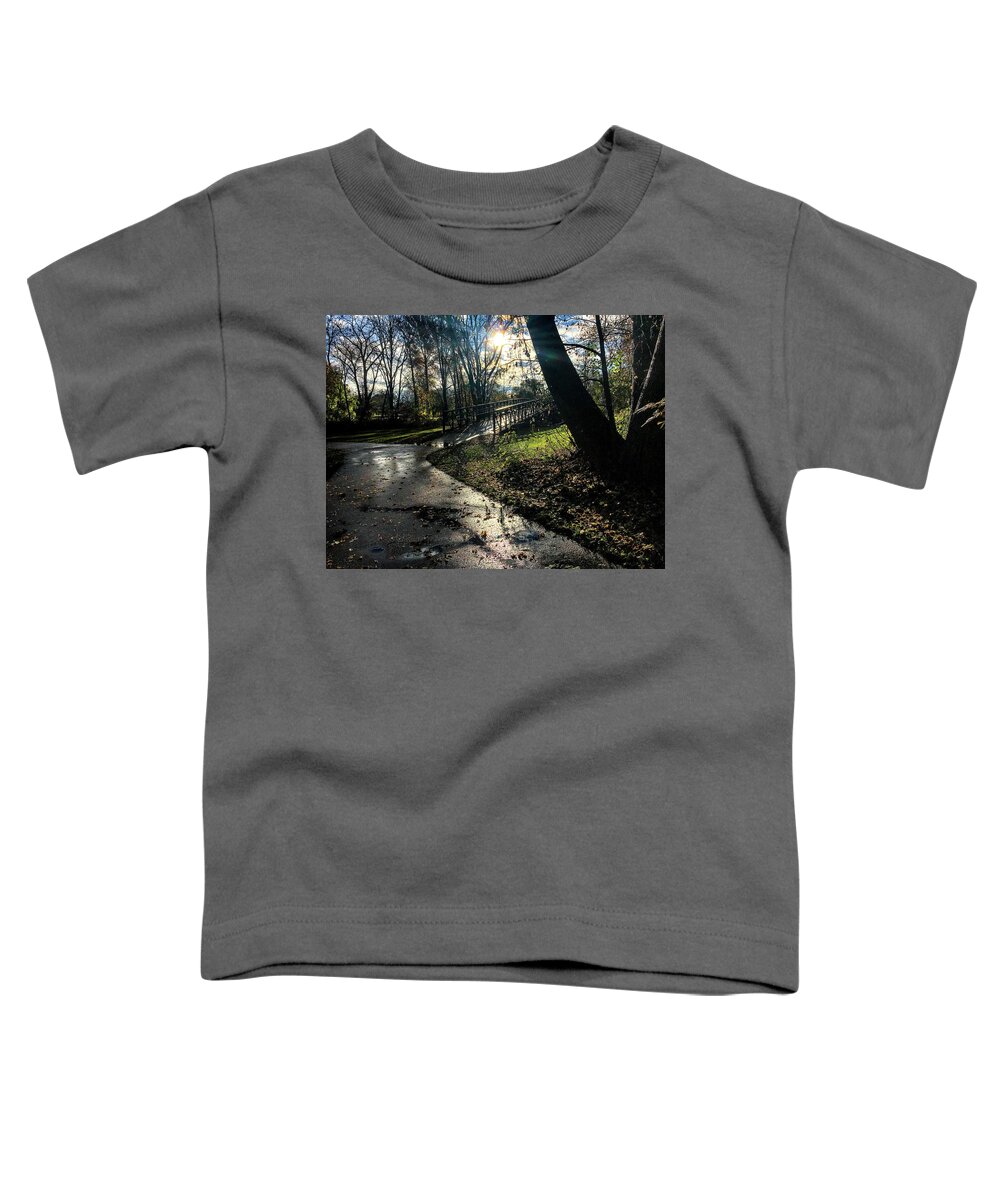 Tahquamenon Falls Toddler T-Shirt featuring the photograph Bridge on the Trail IMG_4051 by Michael Thomas
