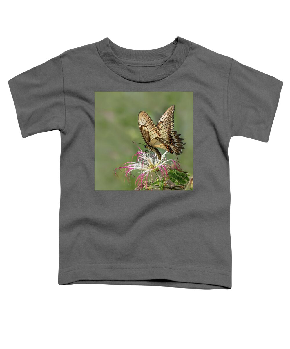 Butterfly Toddler T-Shirt featuring the photograph Broad Banded Swallowtail Butterlfy by Linda Villers