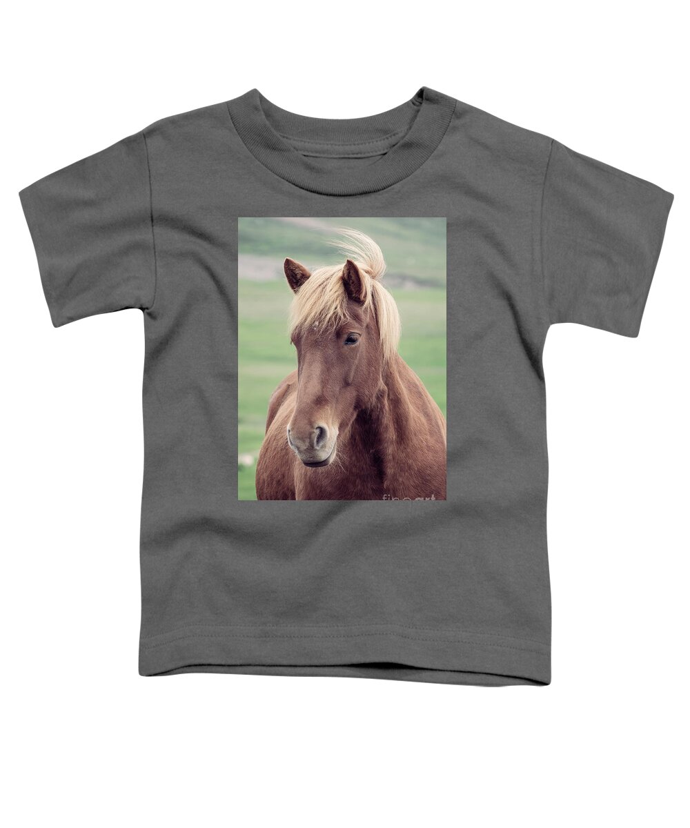 Horse Toddler T-Shirt featuring the photograph Brown icelandic horse by Delphimages Photo Creations