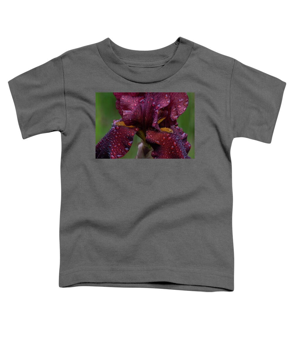 Astoria Toddler T-Shirt featuring the photograph Brown Iris in Rain by Robert Potts
