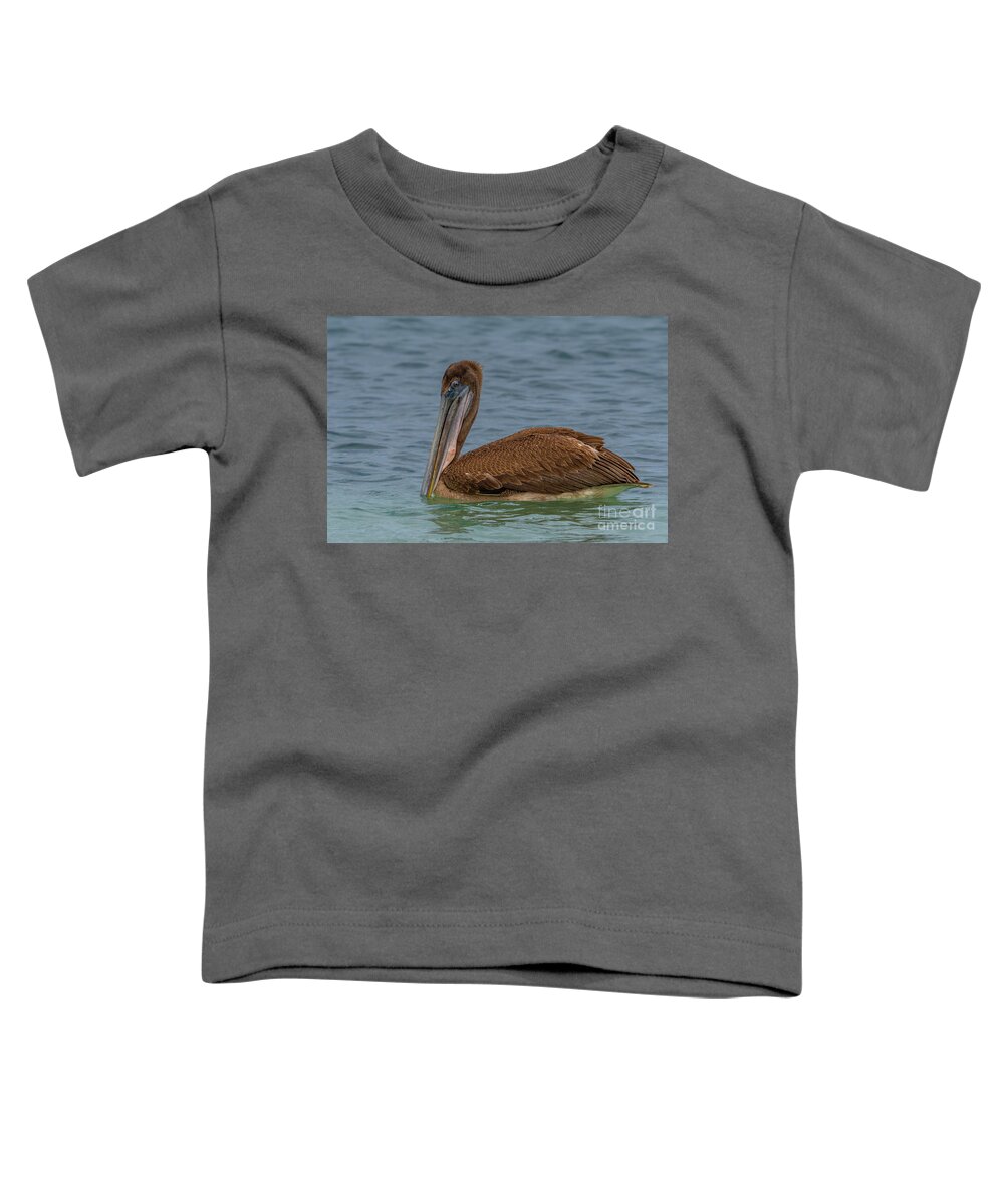 Ecuador Toddler T-Shirt featuring the photograph Brown Pelican Cruising the Shore of Isla Baltra by Nancy Gleason