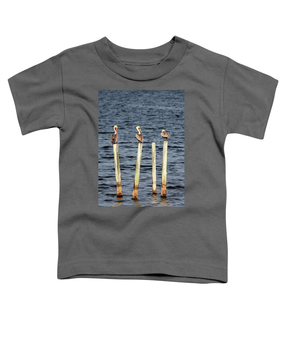 Birds Toddler T-Shirt featuring the photograph Brown Pelicans by Robert Harris