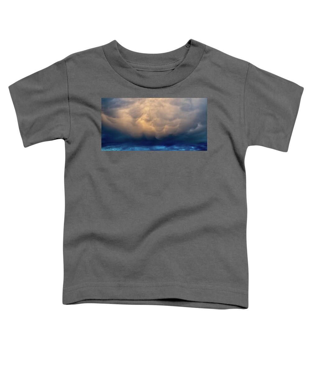 Dreary Toddler T-Shirt featuring the photograph Brute by Doug Gibbons