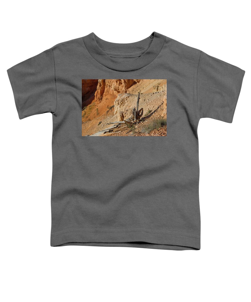 Tree Toddler T-Shirt featuring the photograph Bryce Canyon by Gordon Sarti