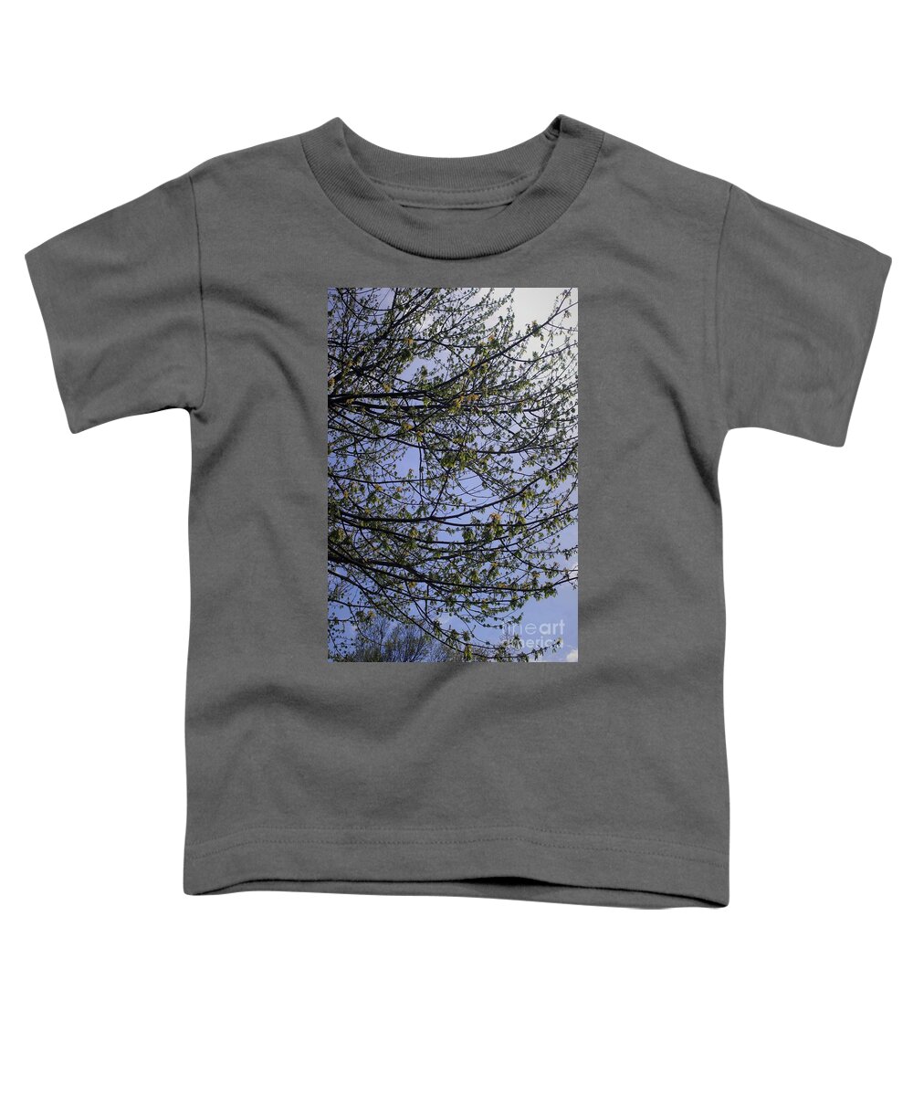 Sunday Silence Aprill 28 2019 Toddler T-Shirt featuring the photograph Budding Branches and Pastel Sky by Frank J Casella
