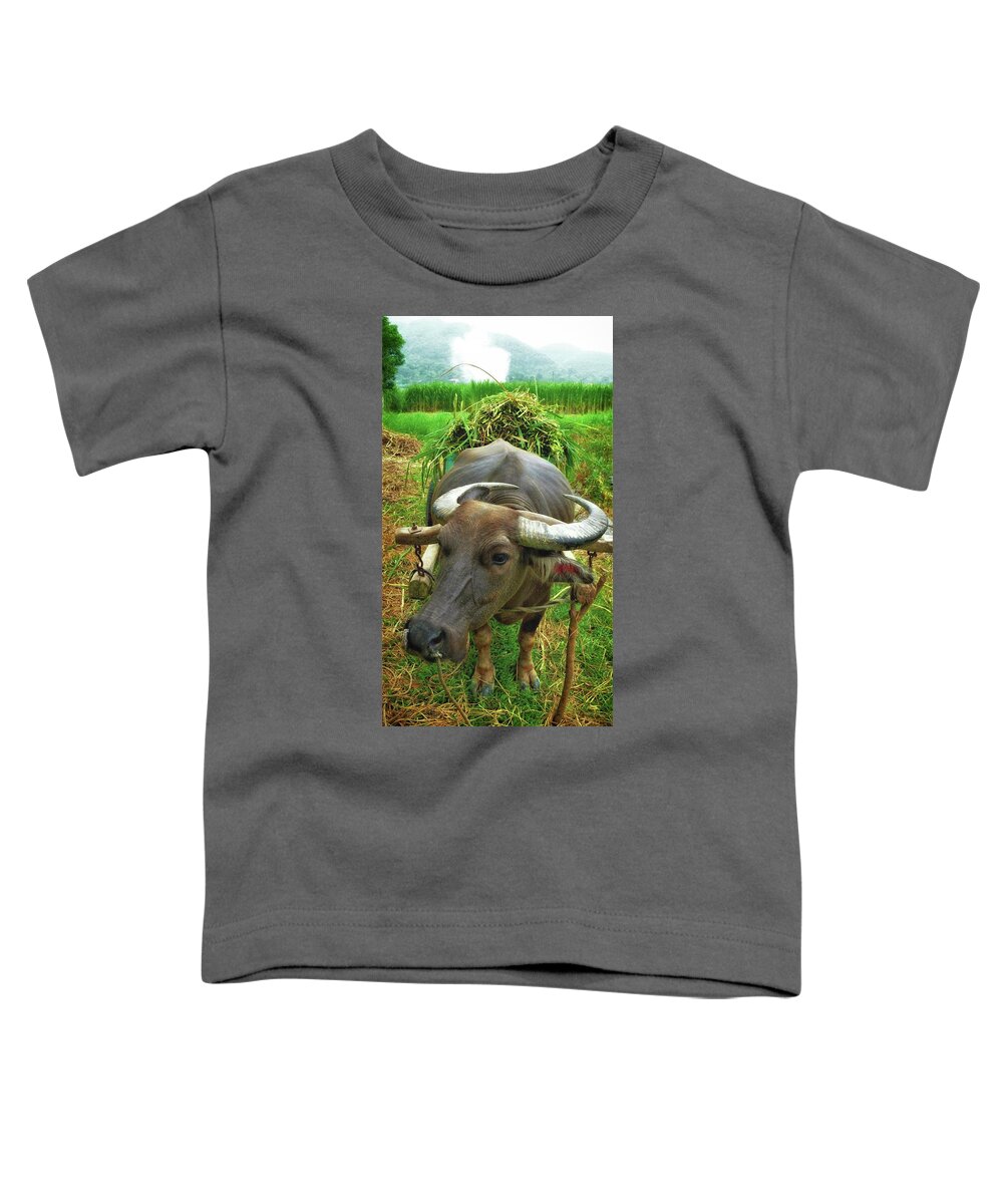 Buffalo Toddler T-Shirt featuring the photograph Buffalo portrait by Robert Bociaga