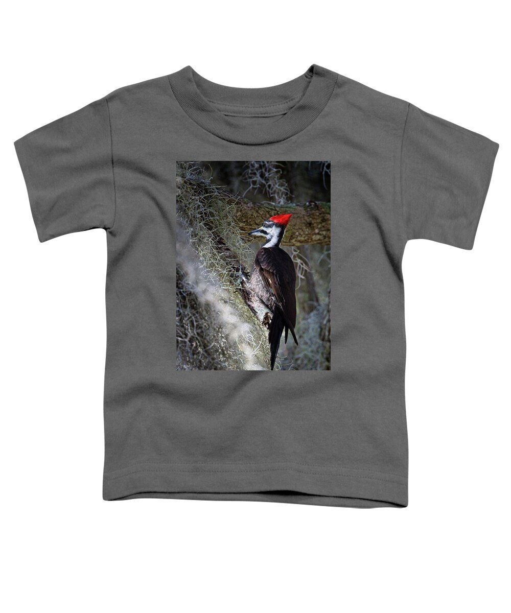 Pileated Woodpecker Toddler T-Shirt featuring the photograph Bug Hunting by Ronald Lutz