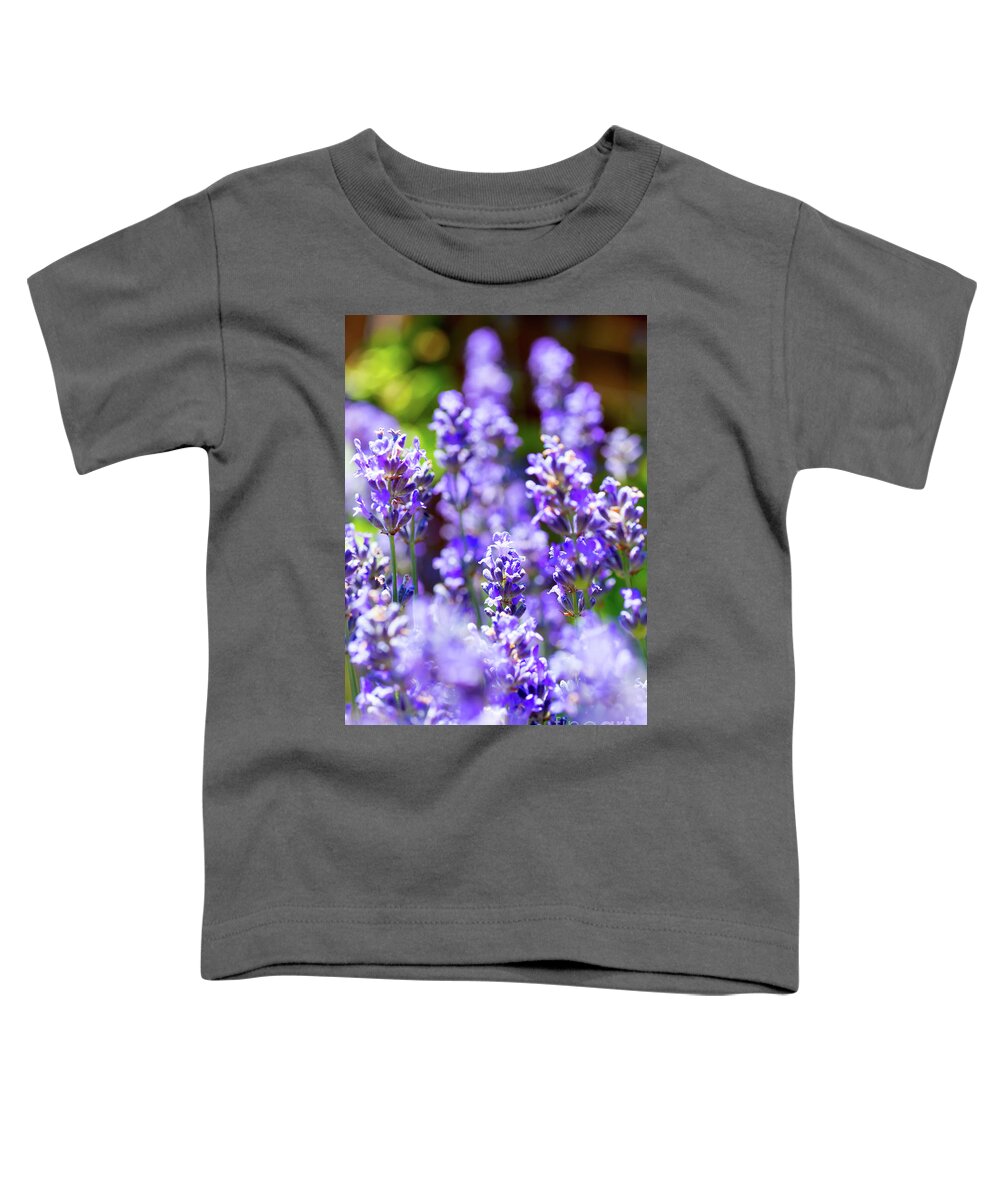 Lavender Toddler T-Shirt featuring the photograph Bunch of beautiful lavender flowers in close-up from France by Gregory DUBUS