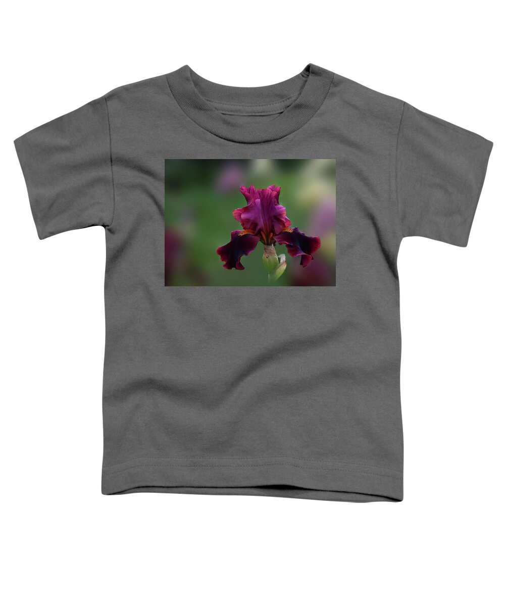 Art Photo Toddler T-Shirt featuring the photograph Burgundy Iris Art Flower Photo by Lily Malor