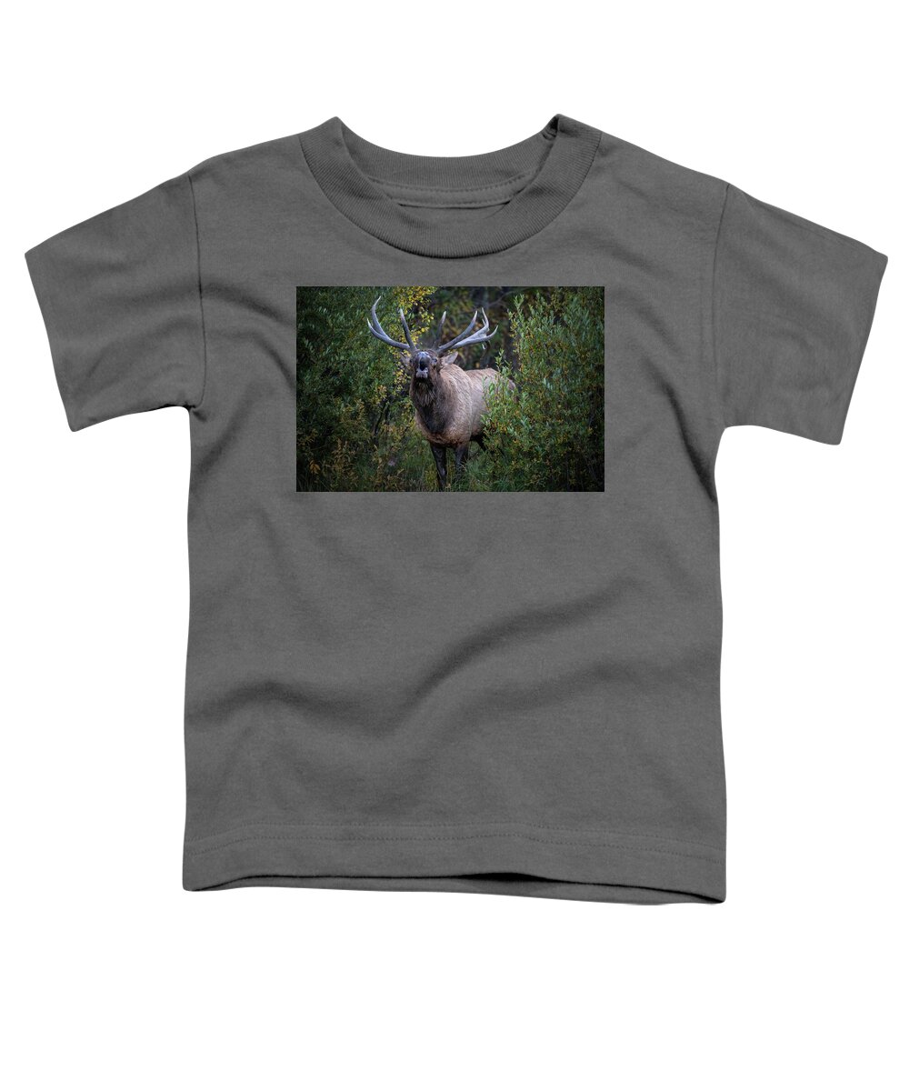  Toddler T-Shirt featuring the photograph Bushes by Bitter Buffalo Photography