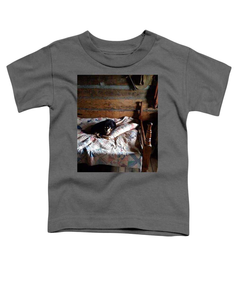 Cabin Toddler T-Shirt featuring the photograph Cabin's Alarm System by Lee Darnell