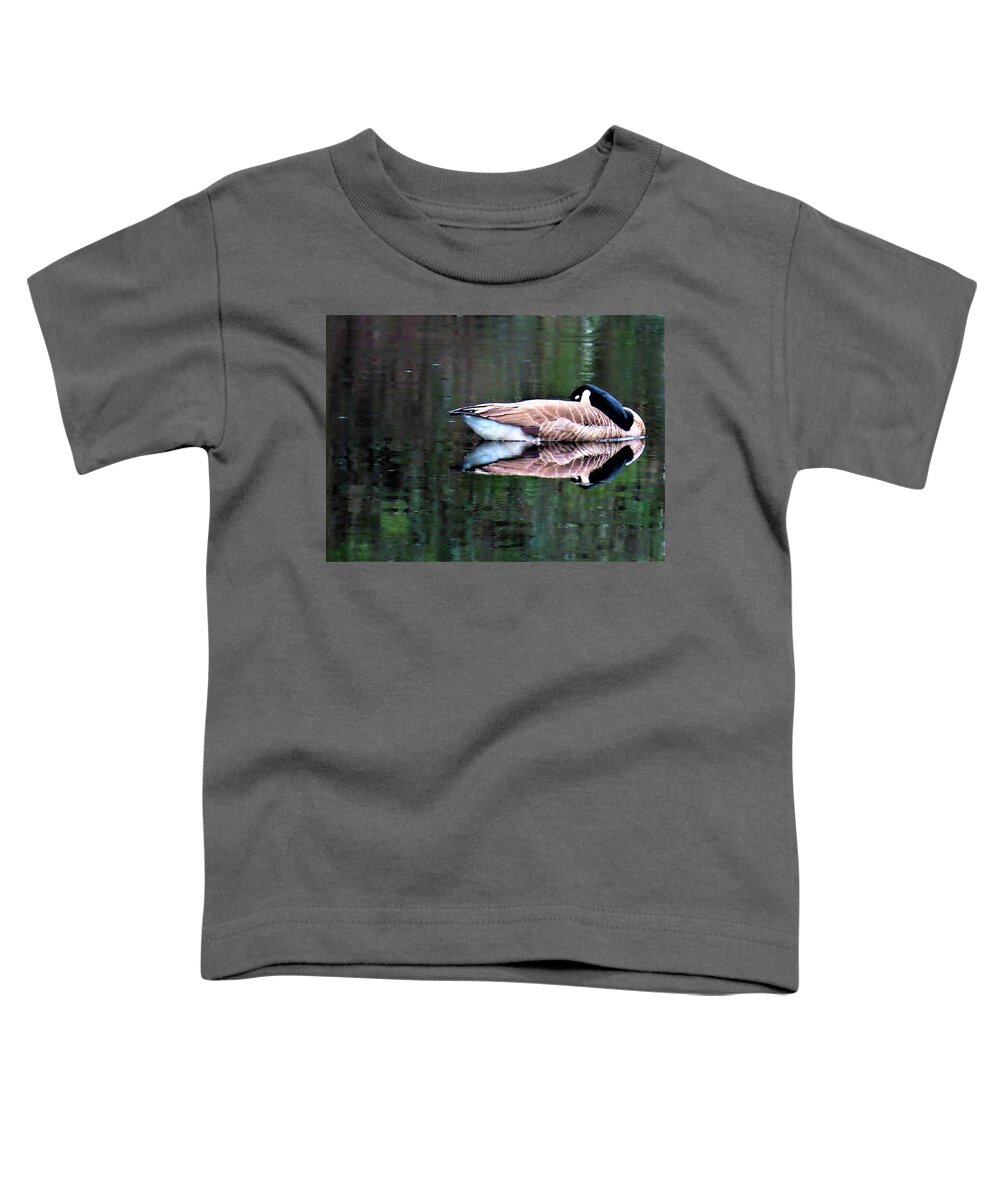 Birds Toddler T-Shirt featuring the photograph Calm Canada Goose and Reflection by Linda Stern