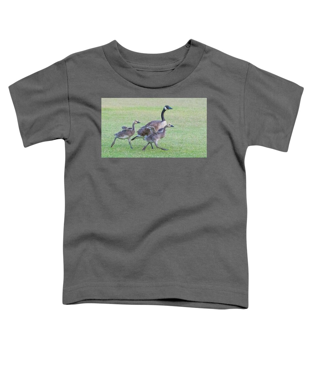 Canada Geese Toddler T-Shirt featuring the photograph Canada Geese Adults and Goslings 8942-052022-3 by Tam Ryan