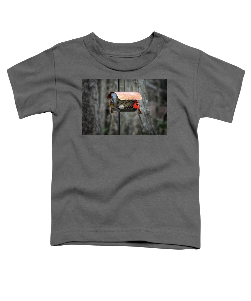 Cardinal Toddler T-Shirt featuring the photograph Cardinal Couple by Steven Nelson