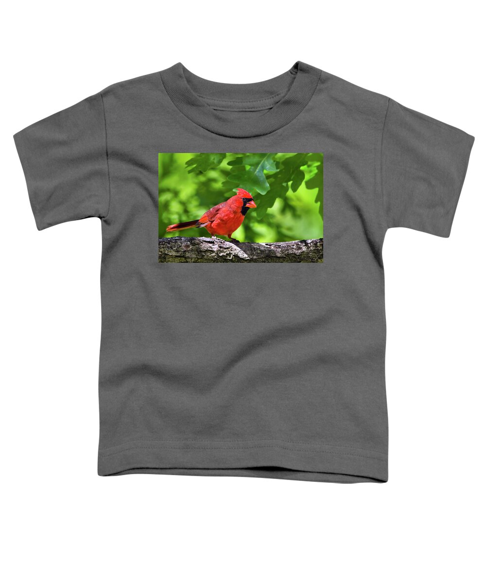 Cardinal Toddler T-Shirt featuring the photograph Cardinal Red by Christina Rollo