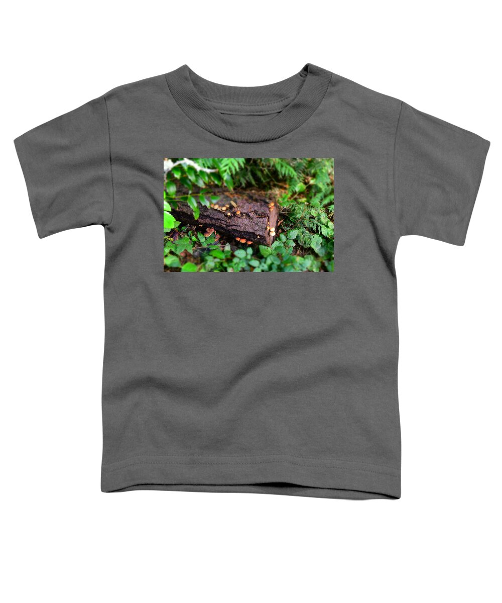 Log Toddler T-Shirt featuring the photograph Carkeek Mushrooms by Matthew Lazure