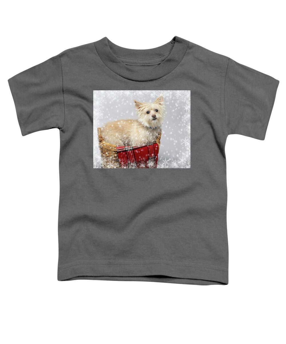 Cassie Toddler T-Shirt featuring the photograph Cassie 5 with snow by Rebecca Cozart