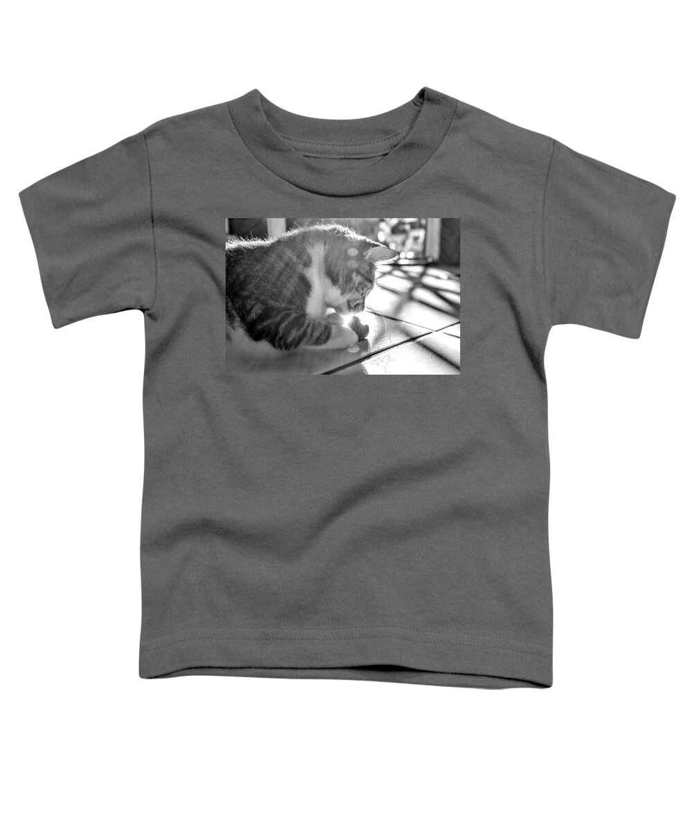 Cat And Heart Toddler T-Shirt featuring the photograph Cat and Heart by Sharon Popek