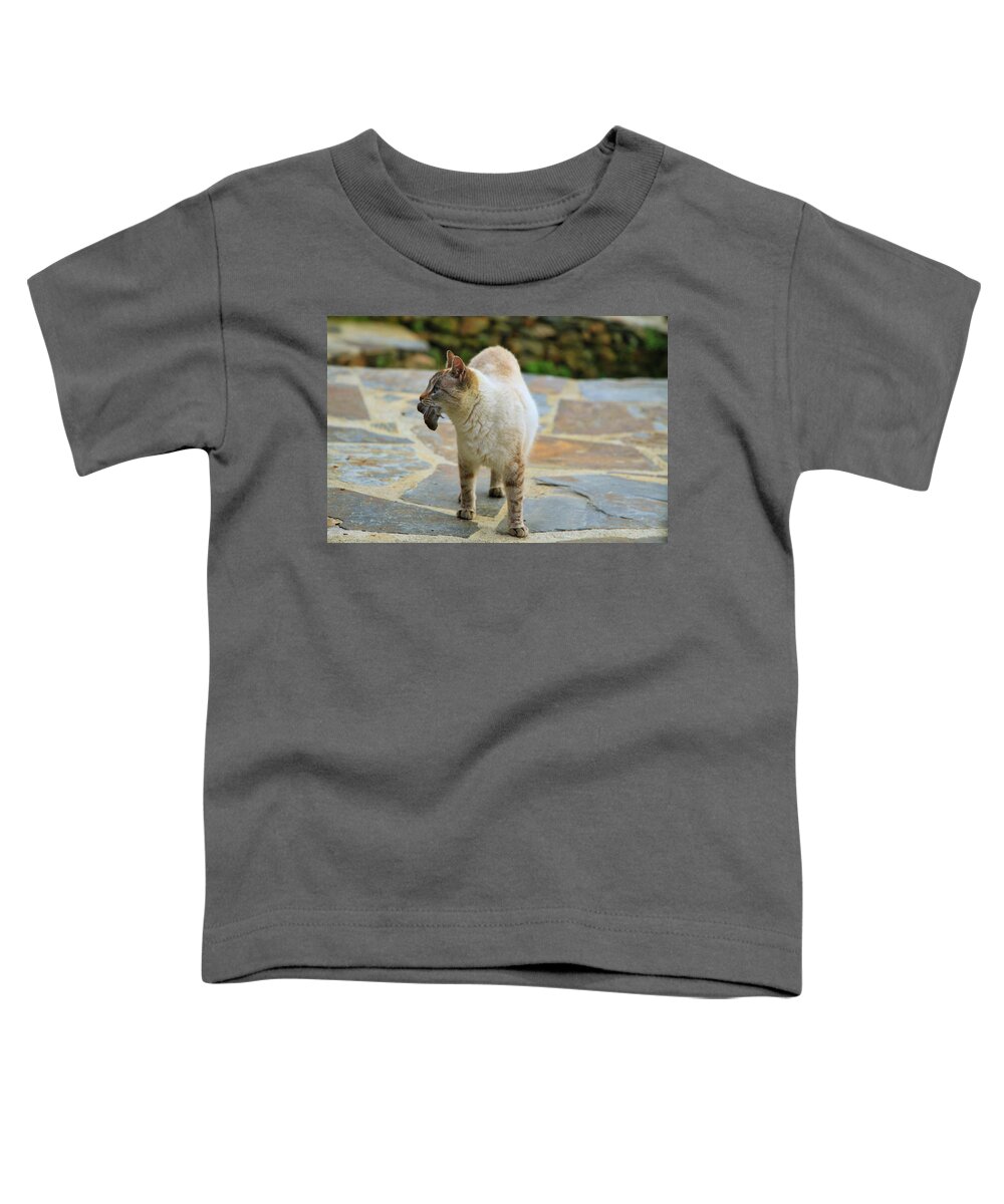 Cat And Mouse Toddler T-Shirt featuring the photograph Cat and Mouse by Gene Taylor
