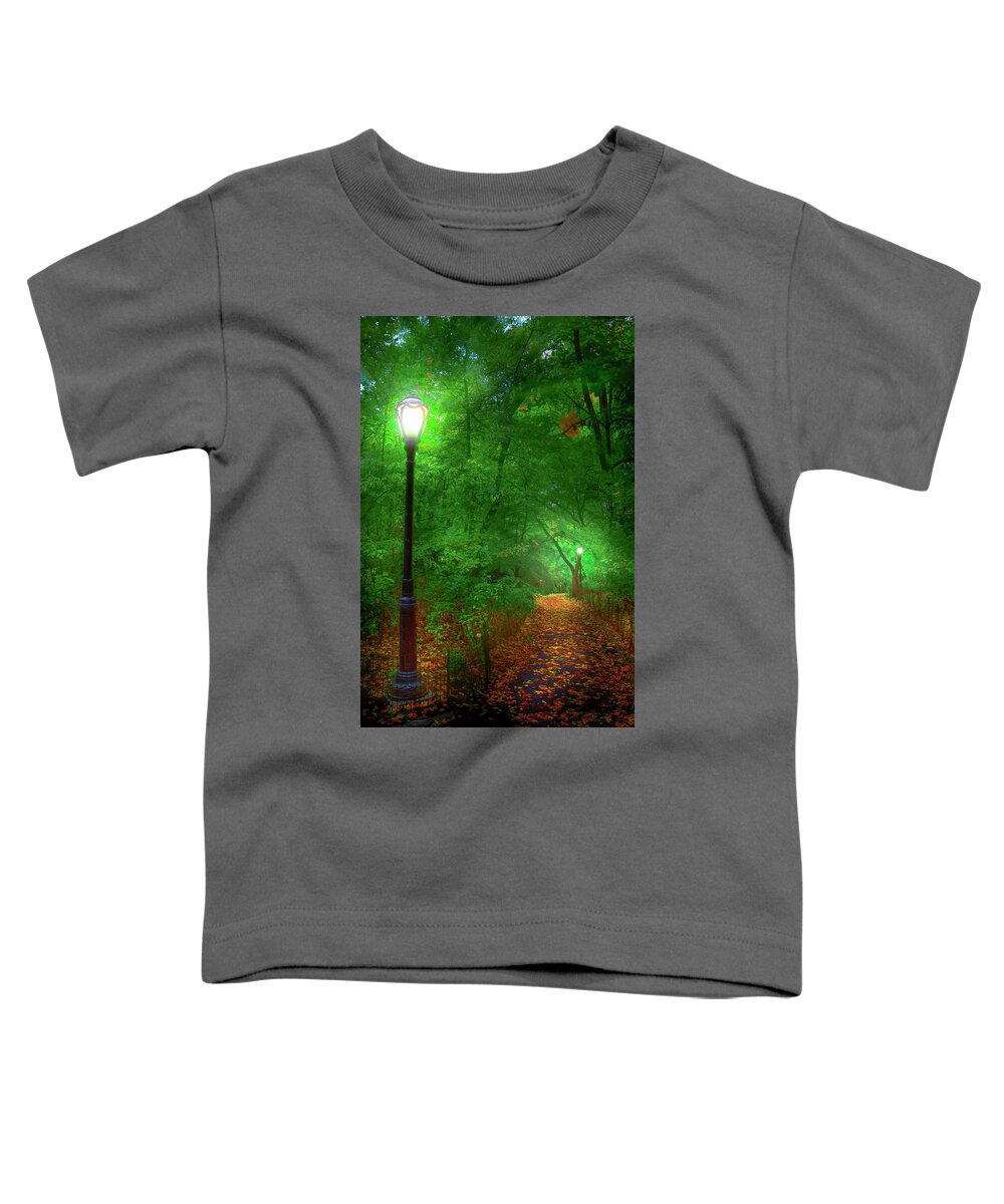 New York City Toddler T-Shirt featuring the photograph Central Park Ramble by Mark Andrew Thomas